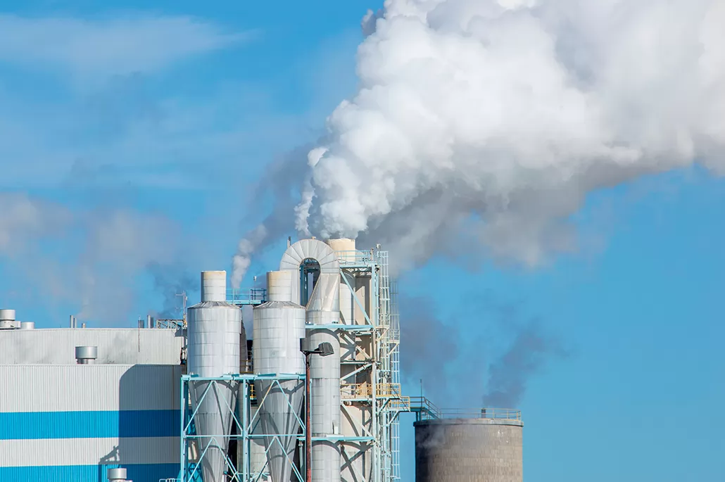 Tenute Meccaniche per Settore Cartario