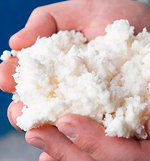 Tenute Meccaniche per settore cartario