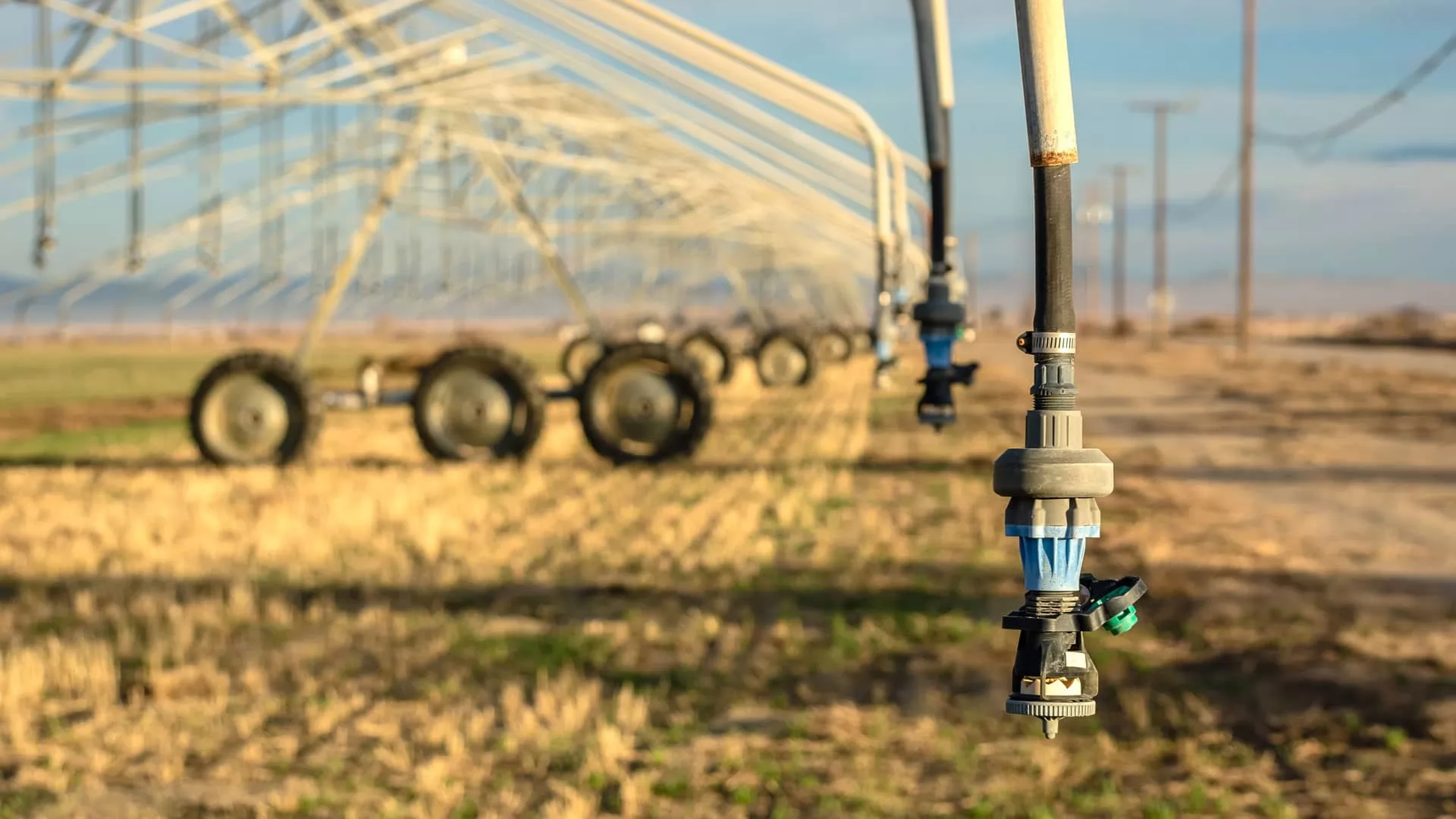 Tenute Meccaniche per Applicazioni Agricole